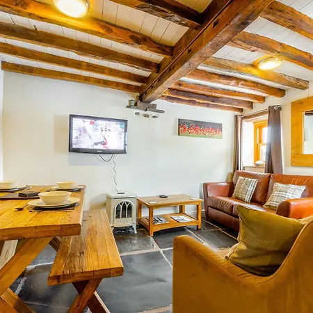 Cottontail ستايفلي